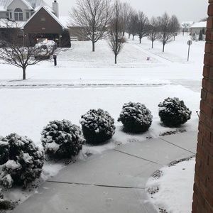 Meet your Posher, Bridget